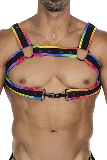 Brust-Harness 05 mehrfarbig