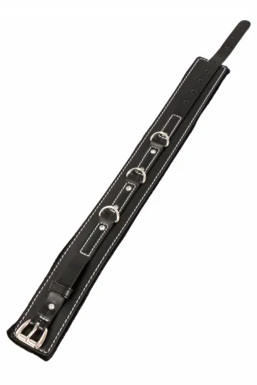 Halsband Strass & Leine schwarz