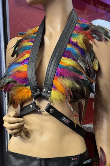 Leder Bustier 07 schwarz/bunt