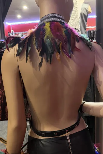 Leder Bustier mit Strass 07-ST schwarz/bunt