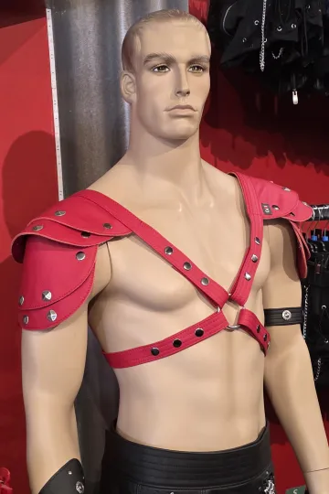 Leder Harness 02-3H rot