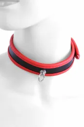 Halsband schwarz/rot