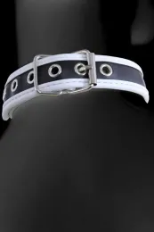 Halsband schwarz/weiß