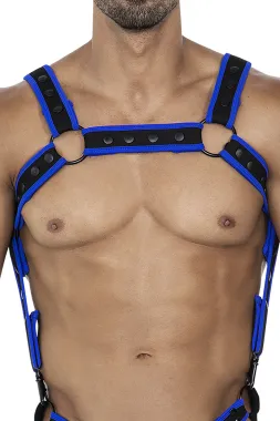 Brust-Harness 05 schwarz/neonblau